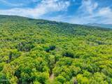 TBD Boulder Brook Road - Photo 13