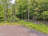 TBD Boulder Brook Road - Photo 11