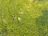 TBD Boulder Brook Road - Photo 24
