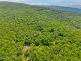 TBD Boulder Brook Road - Photo 27