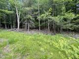 TBD Boulder Brook Road - Photo 4
