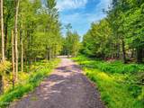 TBD Boulder Brook Road - Photo 44