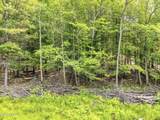 TBD Boulder Brook Road - Photo 7