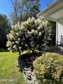 81 Lindeman Road - Photo 64
