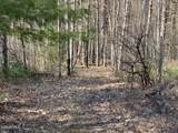 101 Watershed Drive - Photo 19