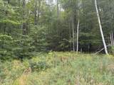 101 Watershed Drive - Photo 8