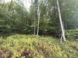 101 Watershed Drive - Photo 9