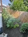 455 2nd Street - Photo 6