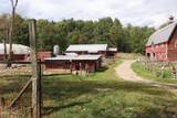 484 Johnsburg Road - Photo 11