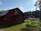 484 Johnsburg Road - Photo 31