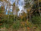 L23.3 Potter Hollow Road - Photo 3