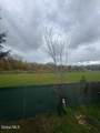 15 Nixon Street - Photo 36