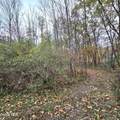 L53 Tarrytown Road - Photo 6