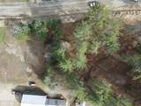 8 Brant Lake Creek Road - Photo 4