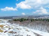 L1 Bear Swamp Road - Photo 37