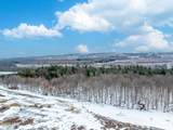 L1 Bear Swamp Road - Photo 38