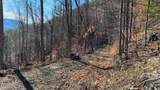 0 Gorge Road - Photo 1