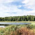 631 Brooker Hollow Road - Photo 4