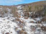 631 Brooker Hollow Road - Photo 49