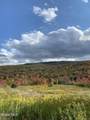 631 Brooker Hollow Road - Photo 61