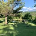 631 Brooker Hollow Road - Photo 62