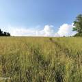631 Brooker Hollow Road - Photo 64