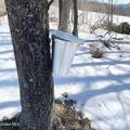 631 Brooker Hollow Road - Photo 66