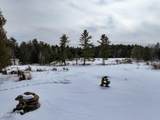 225 Fairy Lake Road - Photo 61