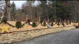 3986 Main Street - Photo 5