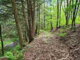 1057 County Route 64 - Photo 98