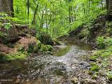 1057 County Route 64 - Photo 99