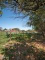 282 Ridge Road - Photo 66