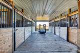 242 Macphail Road - Photo 68