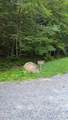 134 Pickle Hill Road - Photo 28
