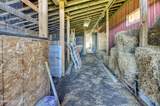 148 Johnson Street - Photo 61