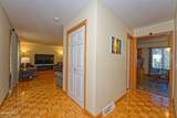5 Shamrock Circle - Photo 6