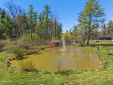 68 Cold Springs Road - Photo 61