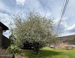 6964 River Road - Photo 10