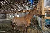 14 Russell Lane - Photo 48