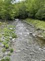 25-29 Mink Hollow Road - Photo 66