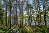 224 North Shore Road - Photo 48