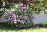 535 Dawson Road - Photo 32