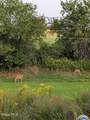 365 Rock Road - Photo 36