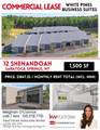12 Shenandoah Drive - Photo 13
