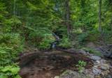 213 Fiddlers Elbow Road - Photo 49