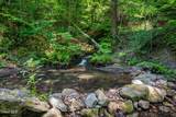 213 Fiddlers Elbow Road - Photo 50