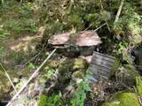 787 Stoney Lonesome Road - Photo 29