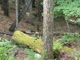 787 Stoney Lonesome Road - Photo 33