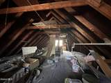 525 Lang Street - Photo 23