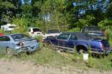 500 Mabie Lane - Photo 31